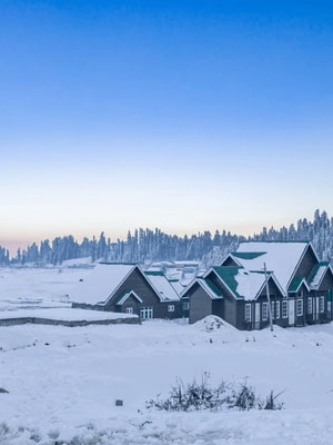 Romantic Kashmir Honeymoon Package From Mumbai