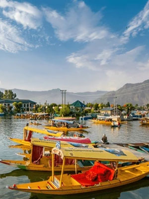 Elegant Srinagar Tour Package